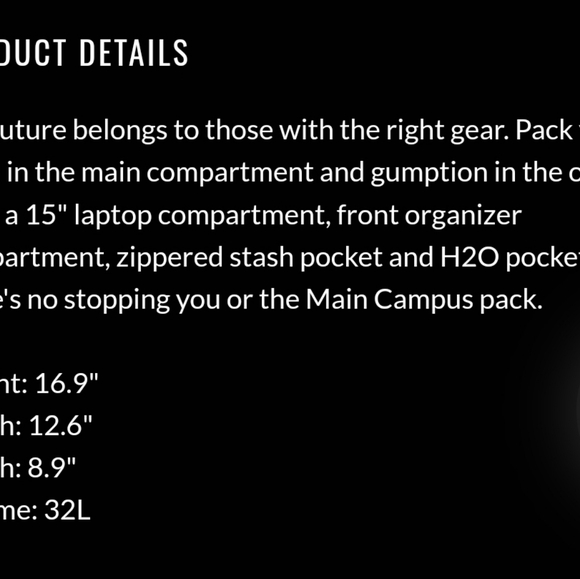 JANSPORT Main Campus Backpack - Gray - Picture 5 of 5